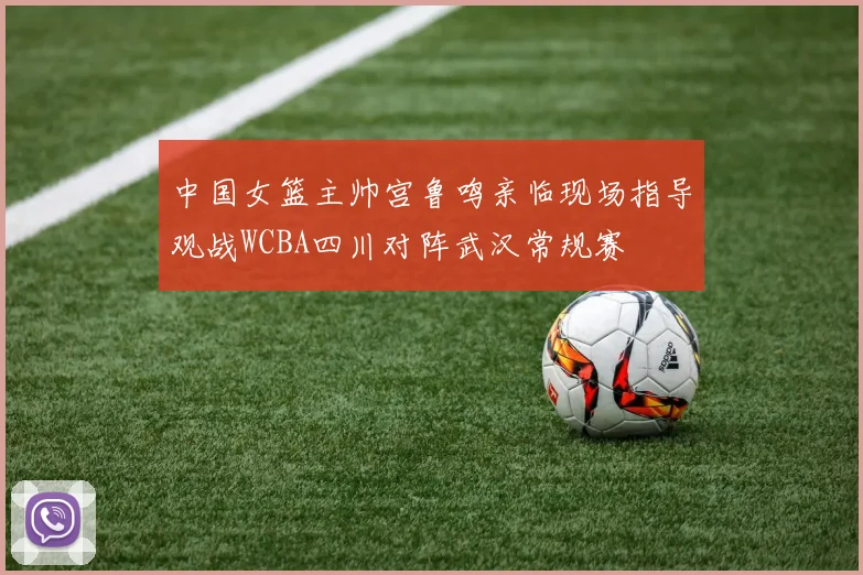中国女篮主帅宫鲁鸣亲临现场指导观战WCBA四川对阵武汉常规赛