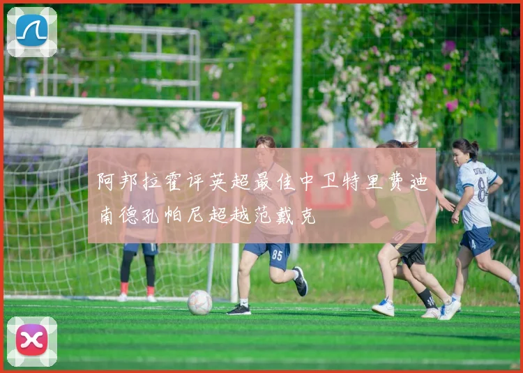 阿邦拉霍评英超最佳中卫特里费迪南德孔帕尼超越范戴克